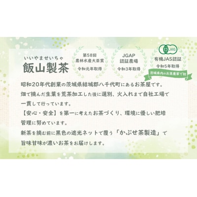 煎茶・ほうじ茶《三角》ティーバッグセット [AE008ya]