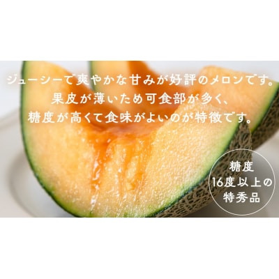【令和7年産】【先行受付】タカミレッドメロン 特秀品 1玉 糖度 16度以上 [CG007ya]