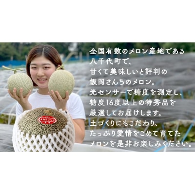 【令和7年産】【先行受付】タカミレッドメロン 特秀品 1玉 糖度 16度以上 [CG007ya]