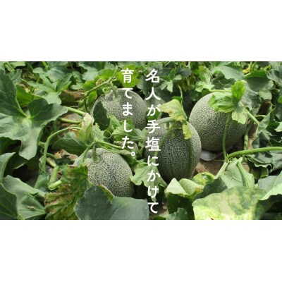 【令和7年産】【先行受付】タカミレッドメロン 特秀品 1玉 糖度 16度以上 [CG007ya]
