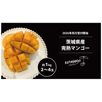【2026年先行受付】完熟マンゴー 約1kg (2～4玉) アーウィン マンゴー [CX005ya]