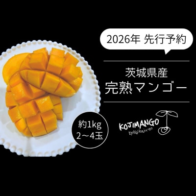【2026年先行受付】完熟マンゴー 約1kg (2～4玉) アーウィン マンゴー [CX005ya]
