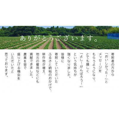 【6ヵ月定期便】八千代町産 紅はるか 干し芋 平干し 180g×3 袋(540g)[AF156ya]