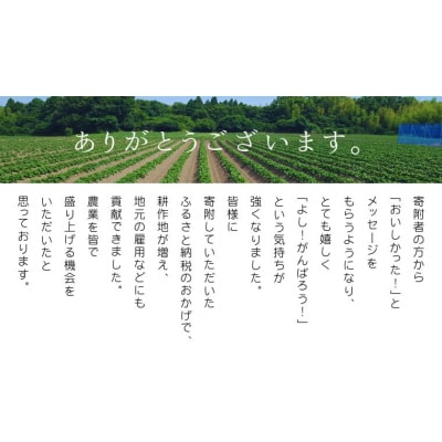 【3ヵ月定期便】八千代町産 紅はるか 干し芋 平干し 180g×3 袋(540g)[AF155ya]