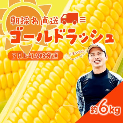 先行受付 7月上旬以降発送 朝採り トウモロコシ (ゴールドラッシュ) 約6kg[SF018ya]