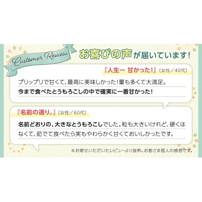 朝採り 農家直送 とうもろこし 6kg「おおもの」【先行受付 7月中旬以降発送】 [AX027ya]