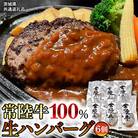 【茨城県共通返礼品】特製プレミアム 生ハンバーグ 120g×6個 合計720g  [AU037ya]
