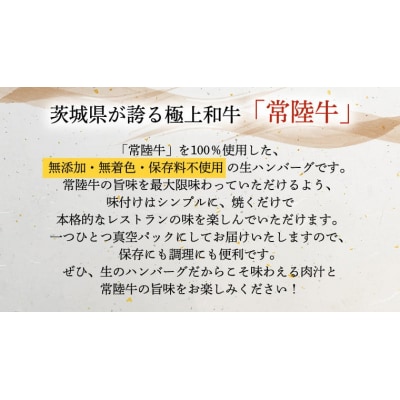 【茨城県共通返礼品】【3ヶ月定期便】プレミアム 生ハンバーグ 120g×6個入り [AU054ya]