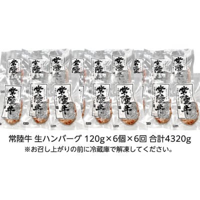 【茨城県共通返礼品】【6ヶ月定期便】プレミアム 生ハンバーグ 120g×6個入り [AU056ya]