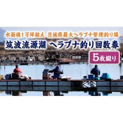 筑波流源湖ヘラブナ釣り回数券(5枚綴り) [AZ003ya]