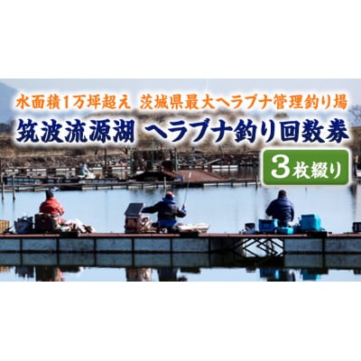 筑波流源湖ヘラブナ釣り回数券(3枚綴り) [AZ002ya]