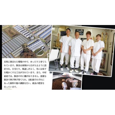 【茨城県共通返礼品/行方市】美明豚×常陸牛 しゃぶしゃぶ用 食べ比べ約1,200g[CF003ya]