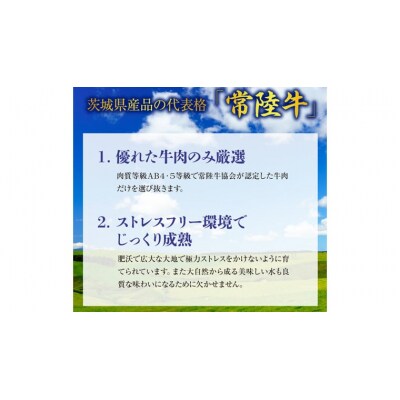 【茨城県共通返礼品/行方市】 美明豚 × 常陸牛 スライス 2kgセットB [CF008ya]