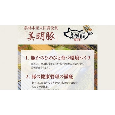 【茨城県共通返礼品/行方市】 美明豚 × 常陸牛 スライス 2kgセットB [CF008ya]