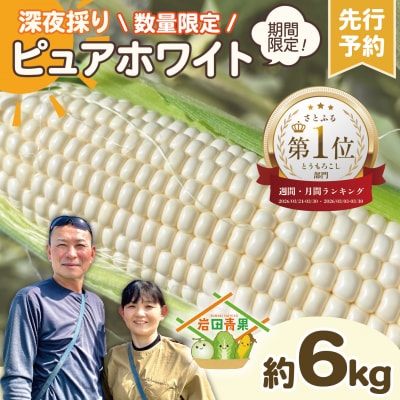 2027年7月上旬以降発送 深夜採りとうもろこし ピュアホワイト 約6kg [AX028ya]