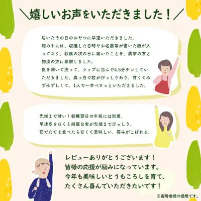 2026年6月中旬以降発送 朝採りとうもろこし ピュアホワイト 約6kg [AX028yas]