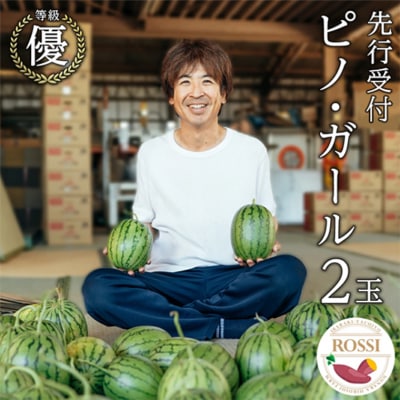 【先行受付】2026年7月下旬以降発送 小玉 スイカ ピノ・ガール 2玉 優以上 [AX029ya]