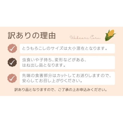 【先行受付】7月中旬以降発送【訳あり】 朝採り とうもろこし おおもの 6kg  [AX031ya]