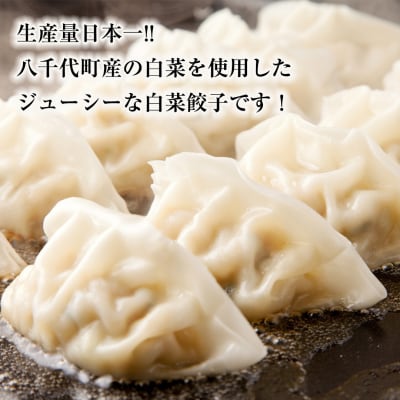 【生産量日本一!】総重量3750g ジューシー 白菜餃子 150個 小分け 25個×6パック
