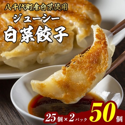 【生産量日本一!】総重量1250g ジューシー 白菜餃子 50個 小分け 25個×2パック