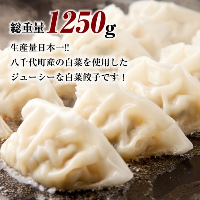 【生産量日本一!】総重量1250g ジューシー 白菜餃子 50個 小分け 25個×2パック