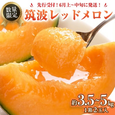 【6月上旬以降発送】筑波レッドメロン 1箱 2玉 入り(約3.5kg～5kg)  [BU001ya]
