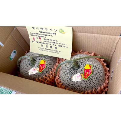 【6月上旬以降発送】筑波レッドメロン 1箱 2玉 入り(約3.5kg～5kg)  [BU001ya]
