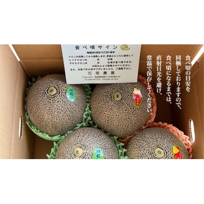 【6月上旬以降発送】タカミレッド  タカミメロン 食べ比べ 合計4玉入り[BU003ya]