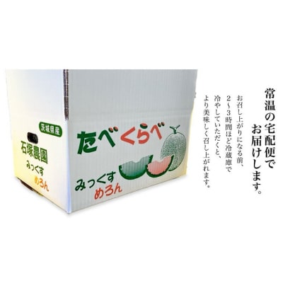 【6月上旬以降発送】タカミレッド  タカミメロン 食べ比べ 合計4玉入り[BU003ya]
