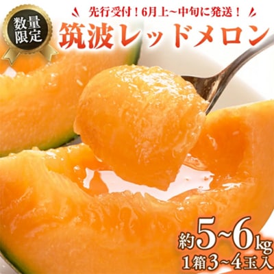【6月上旬以降発送】筑波レッドメロン 1箱 3玉～4玉 入り(約5kg～6kg)[BU002ya]