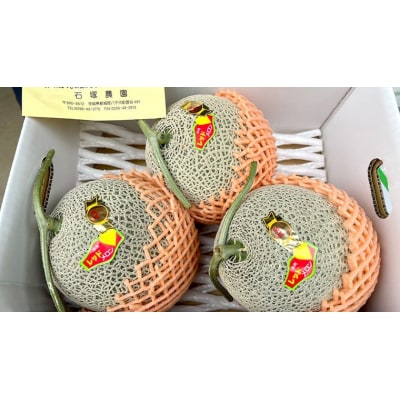 【6月上旬以降発送】筑波レッドメロン 1箱 3玉～4玉 入り(約5kg～6kg)[BU002ya]