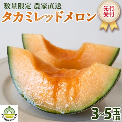 【令和7年産】【先行受付】タカミレッドメロン 秀品 3玉～5玉入り 貴味 タカミ [CG001ya]