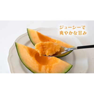 【令和7年産】【先行受付】タカミレッドメロン 秀品 3玉～5玉入り 貴味 タカミ [CG001ya]