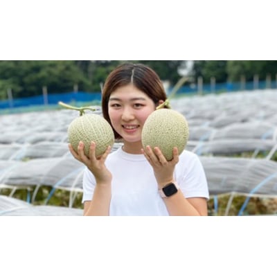 【令和7年産】【先行受付】タカミレッドメロン 秀品 3玉～5玉入り 貴味 タカミ [CG001ya]