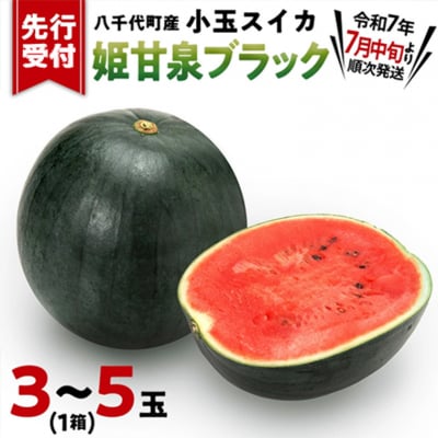 【 先行受付】7月中旬以降発送 小玉スイカ 姫甘泉ブラック 1箱(3～5玉入り)[AV003ya]