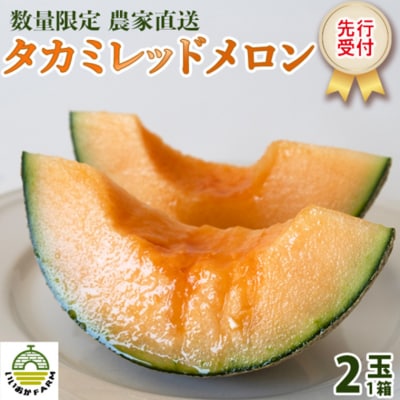 【令和8年産】【先行受付】タカミレッドメロン 秀品 2玉入 メロン 貴味 タカミ [CG002ya]