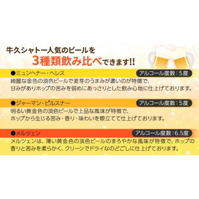 【茨城県共通返礼品/牛久市】牛久シャトービール 3種類 6本セット  [CC001ya]