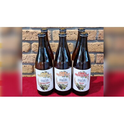 【茨城県共通返礼品/牛久市】牛久シャトービール 3種類 6本セット  [CC001ya]