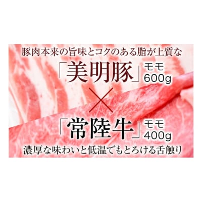 【茨城県共通返礼品/行方市】 美明豚 × 常陸牛 スライス 約1kgセットB [CF010ya]