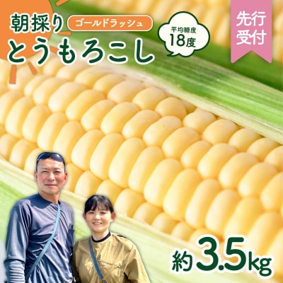 【先行受付】6月中旬以降発送 朝採り とうもろこし ゴールドラッシュ 約3.5kg[AX058ya]