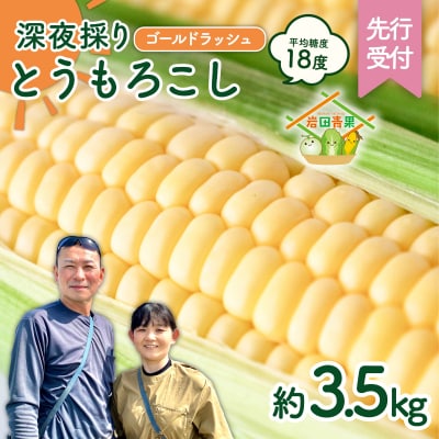 【先行受付】6月中旬以降発送 深夜採り とうもろこし ゴールドラッシュ 約3.5kg AX058ya