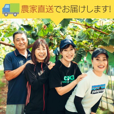 【8月下旬以降発送】八千代町産 シャインマスカット 約1.2kg (2～3房)  [CU001ya]