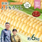 2026年6月下旬以降発送 朝採り とうもろこし ゴールドラッシュ 約6kg (約13～15本入)