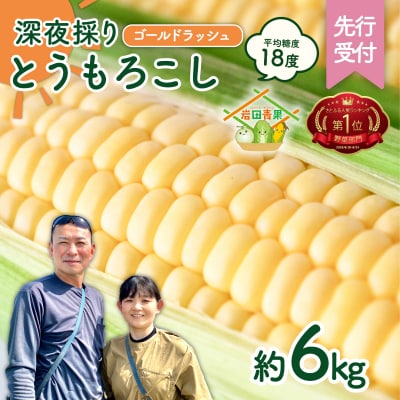 2026年6月中旬以降発送 深夜採り とうもろこし ゴールドラッシュ 約6kg (約13～15本入)