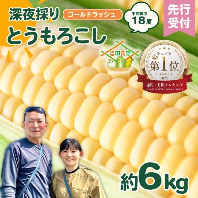 2027年6月中旬以降発送 深夜採り とうもろこし ゴールドラッシュ 約6kg (約13～15本入)