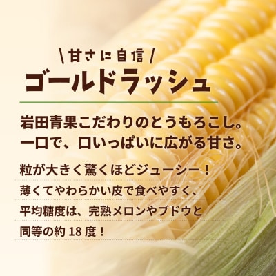 2026年6月中旬以降発送 深夜採り とうもろこし ゴールドラッシュ 約6kg (約13～15本入)