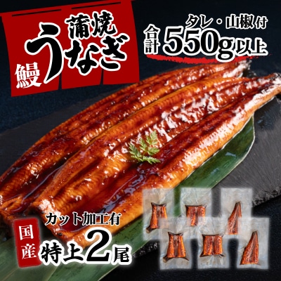 国産 特上うなぎ 蒲焼き 2尾(6枚カット) <合計550g以上>タレ山椒付き うな重やひつまぶしに