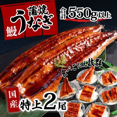 只今1尾増量！】紅ズワイガニ 合計6尾発送 冷凍 盛り返す