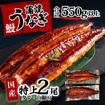 国産 特上うなぎ 蒲焼き 2尾セット <合計550g以上> タレ山椒付き うな重 ひつまぶし