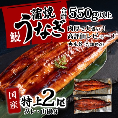 国産 特上うなぎ 蒲焼き 2尾 <合計550g以上> タレ山椒付き 人気うなぎ登り